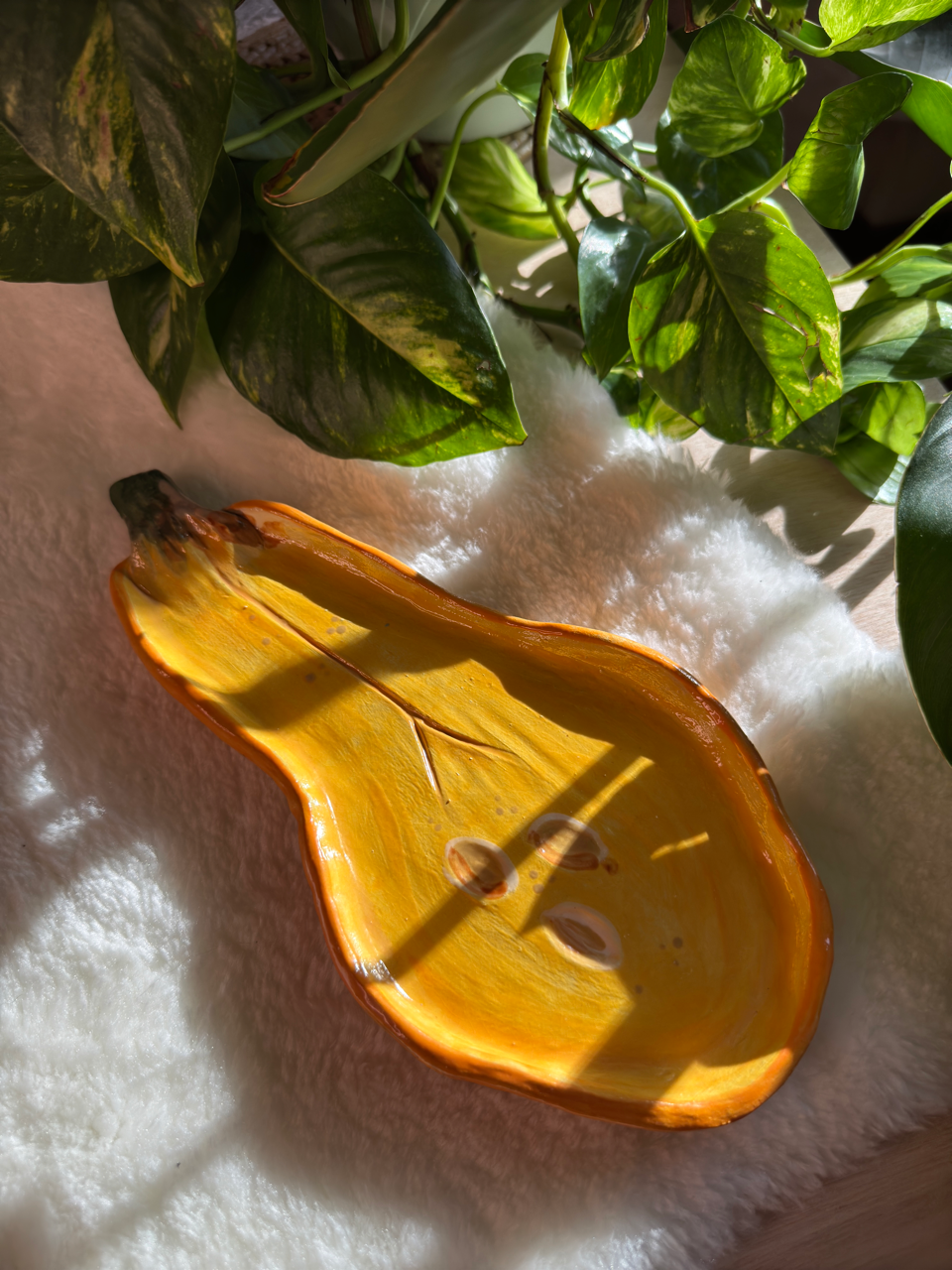 Zucca Butternut