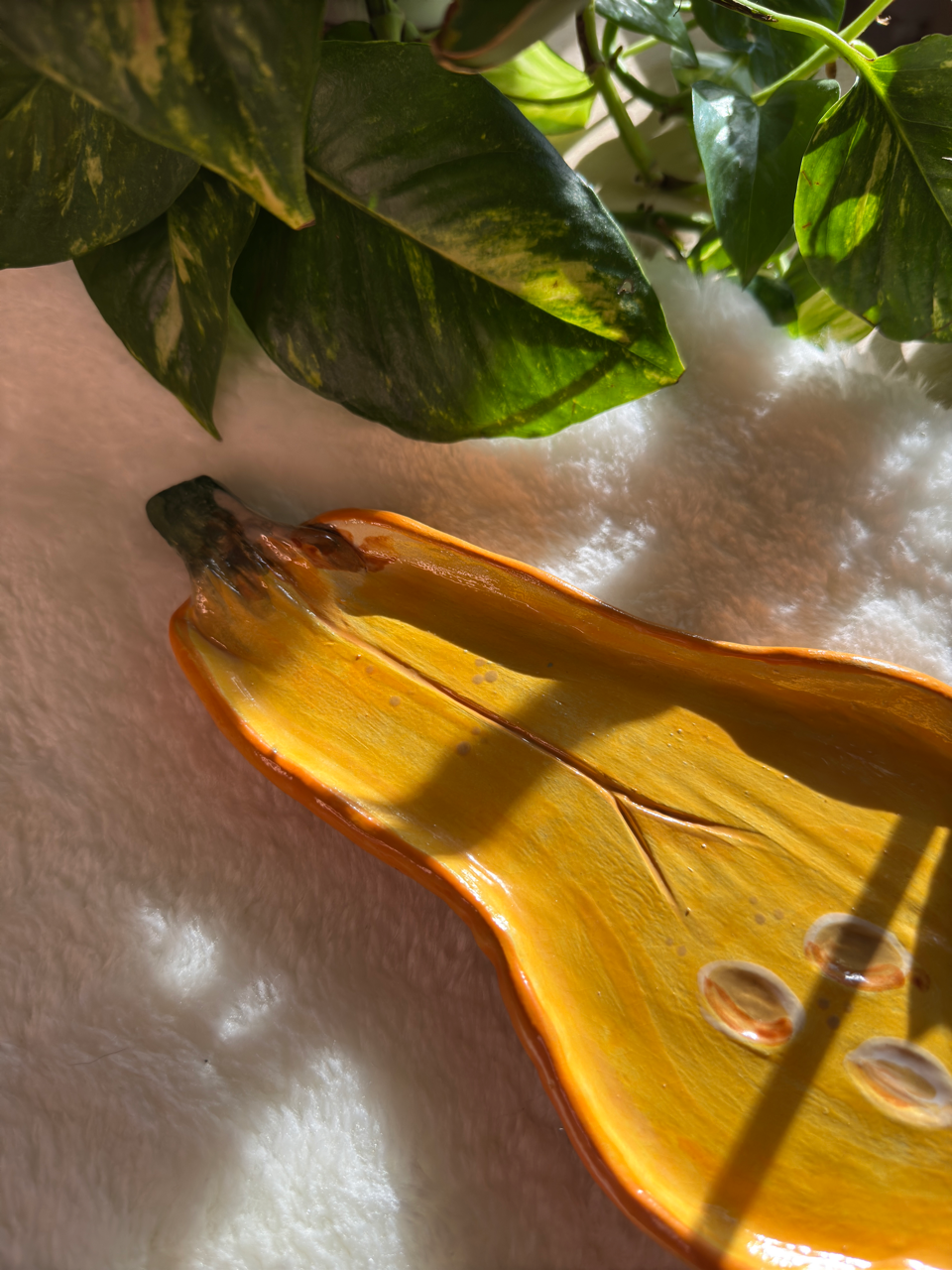 Zucca Butternut