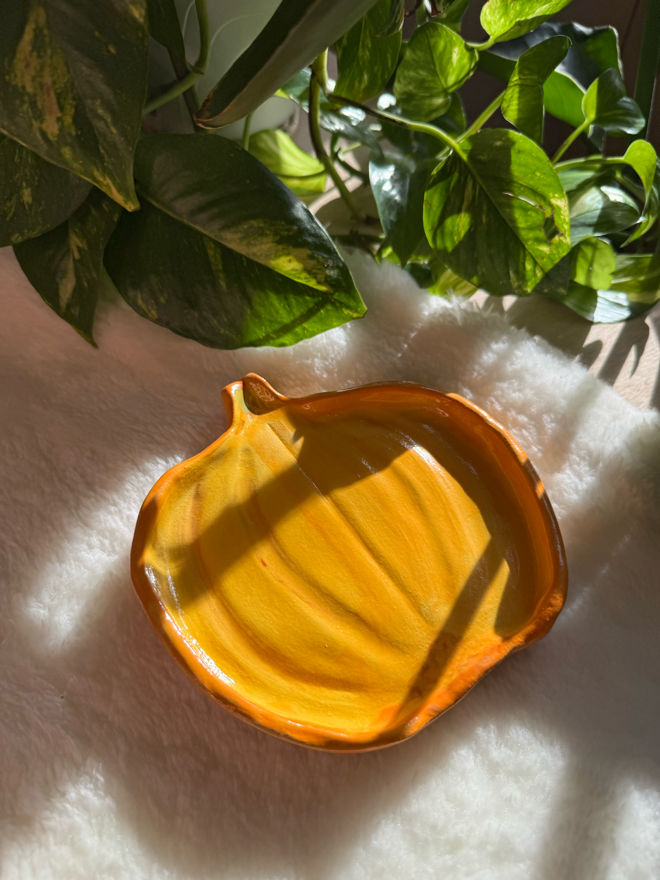 Zucca
