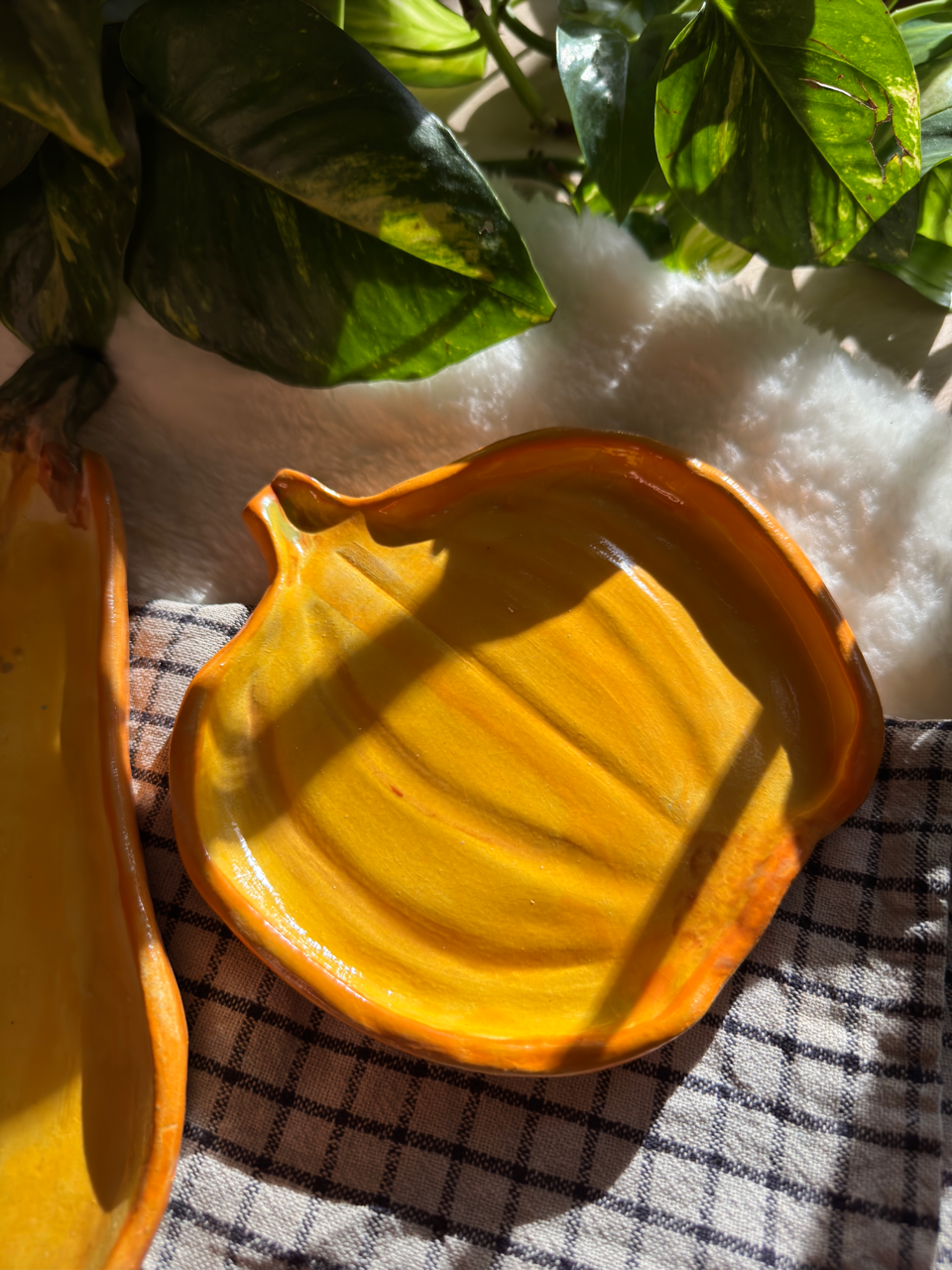 Zucca