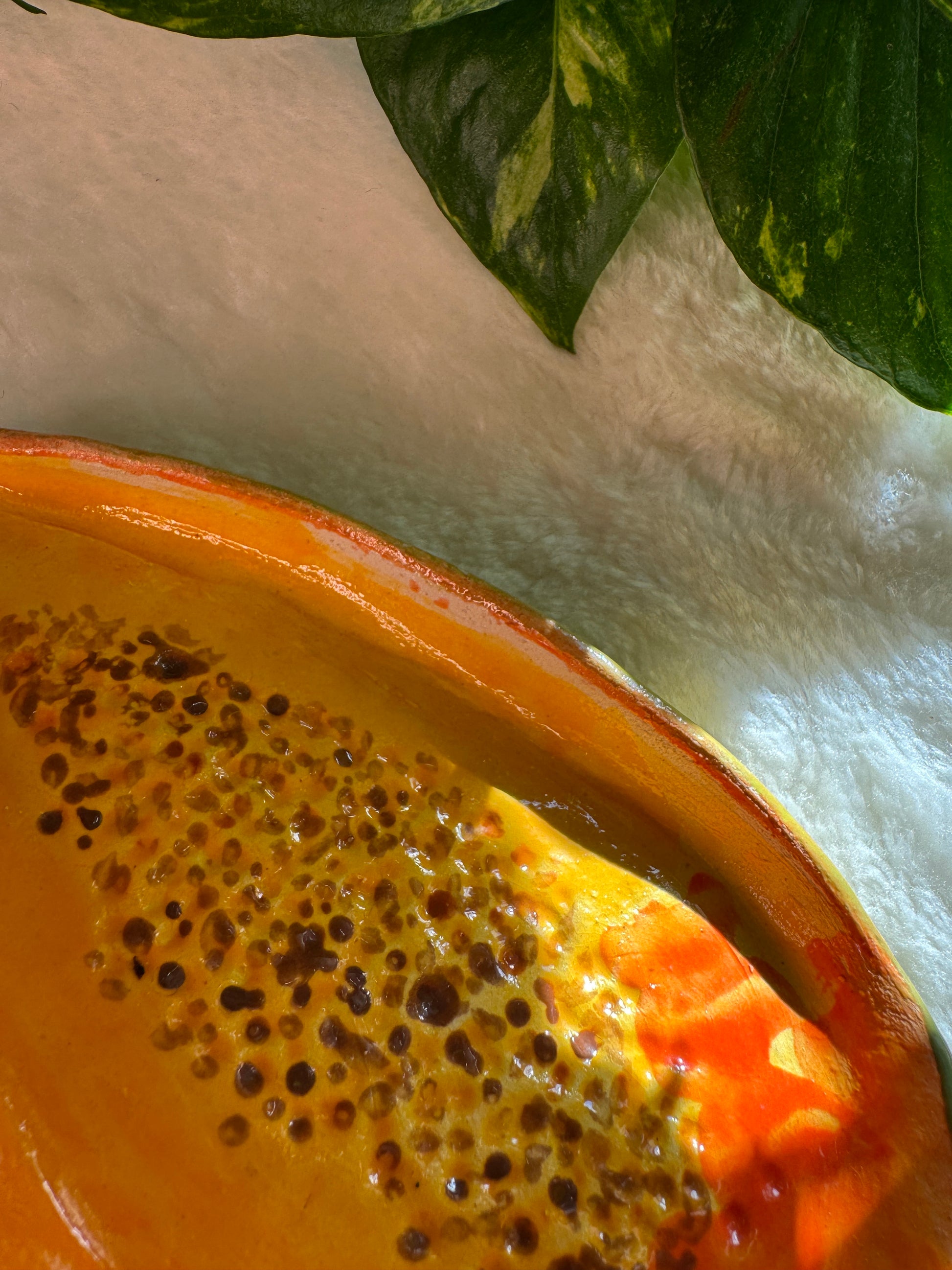 Papaya I