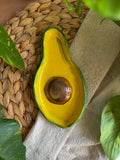 Avocado II