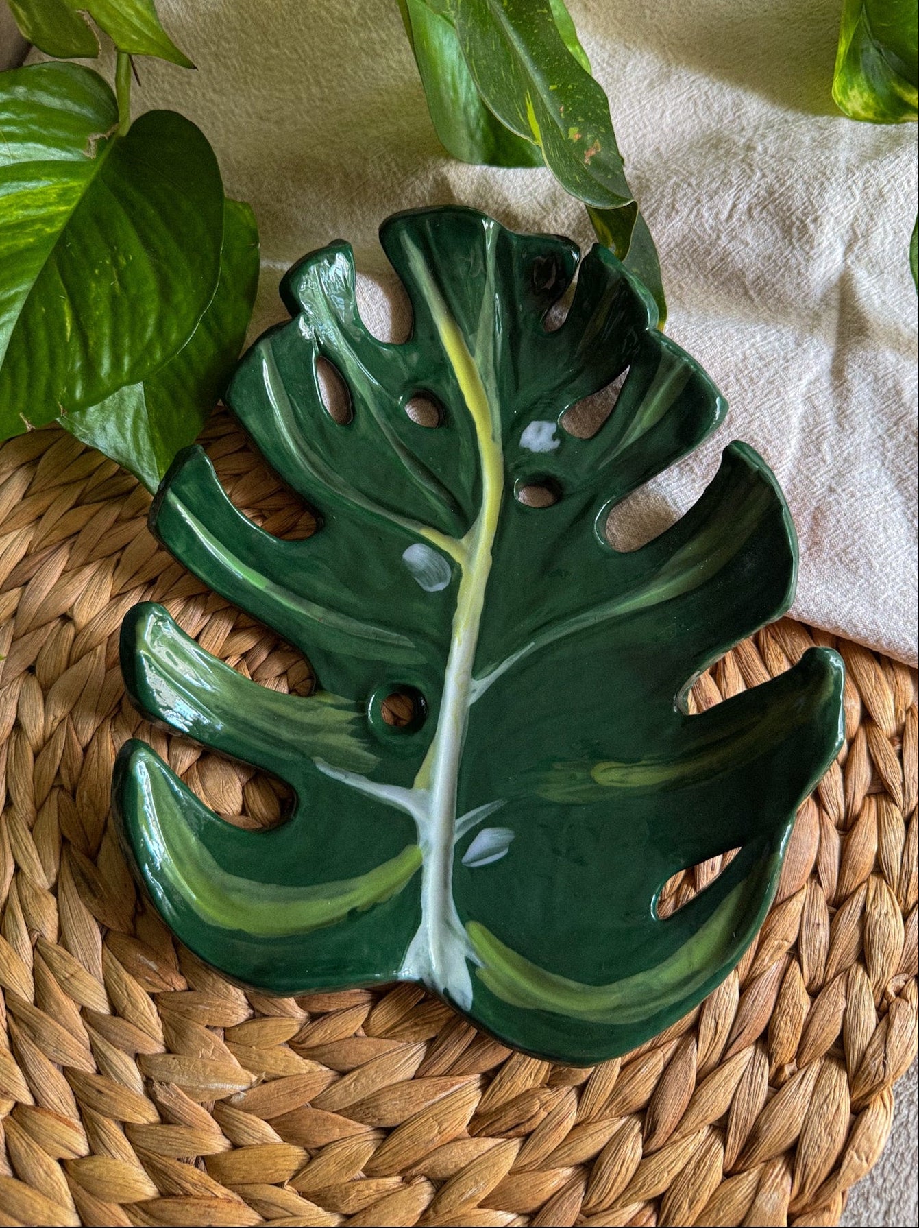 Foglia Monstera