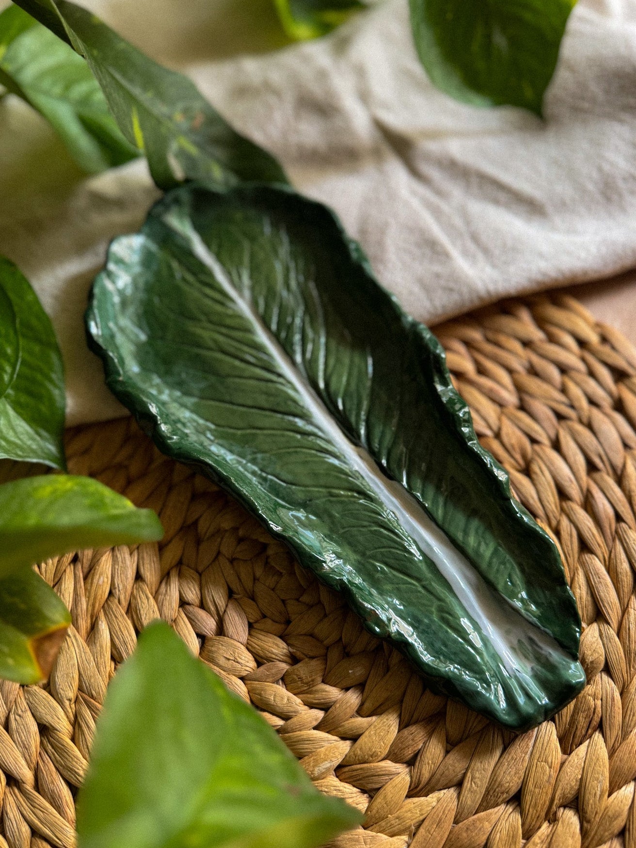 Foglia di Cavolo III