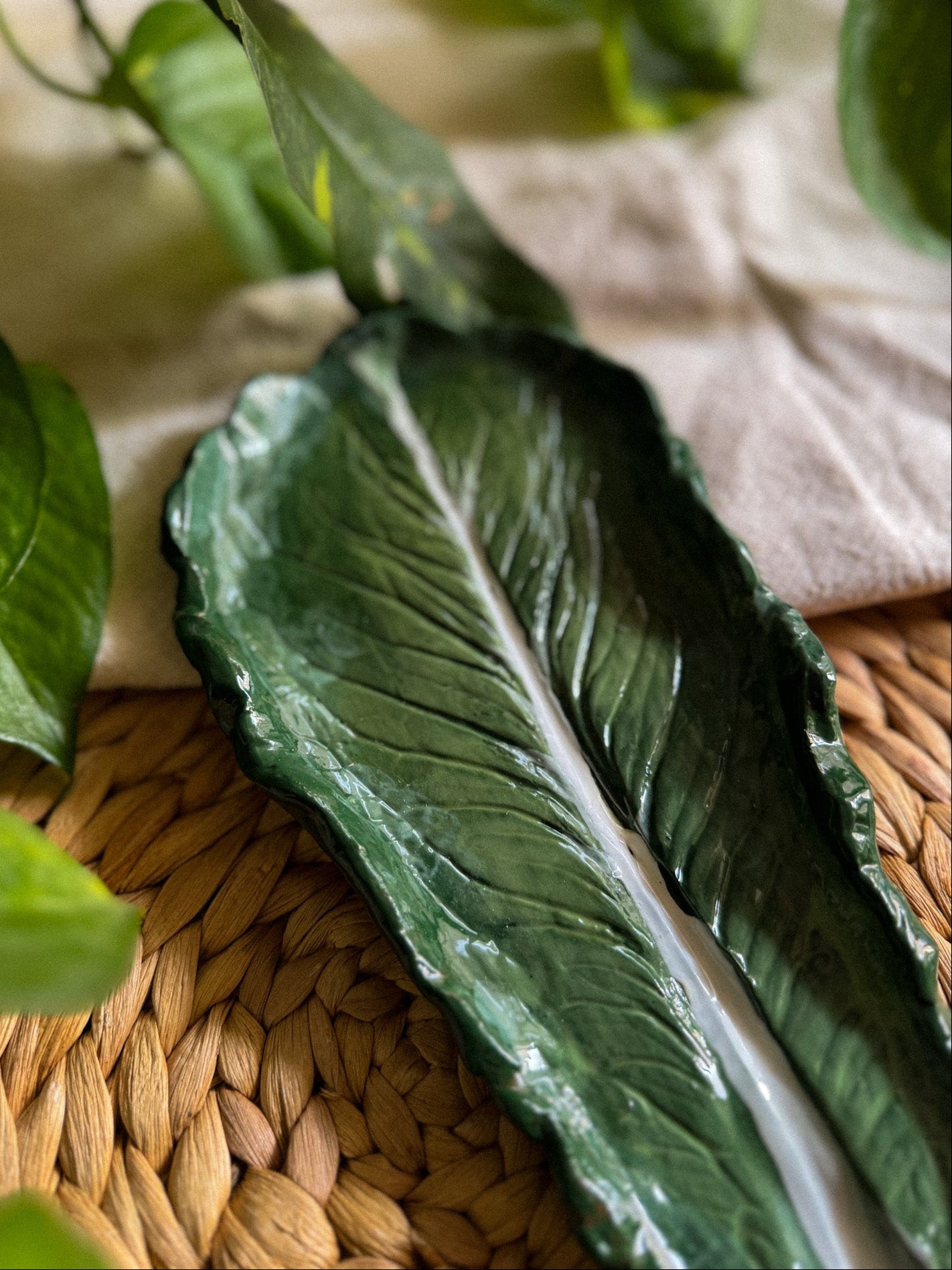 Foglia di Cavolo III