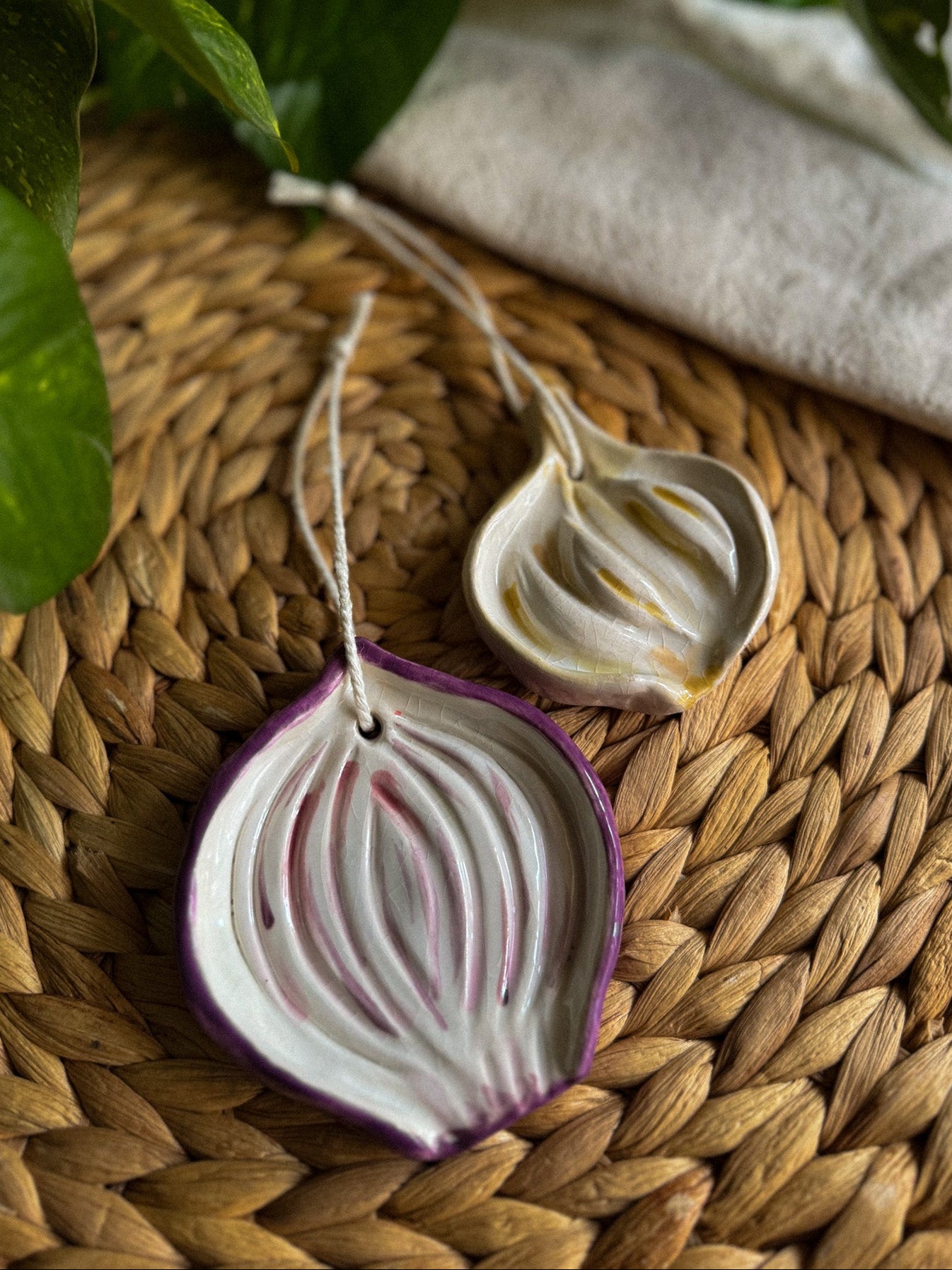 Cipolla e aglio da appendere