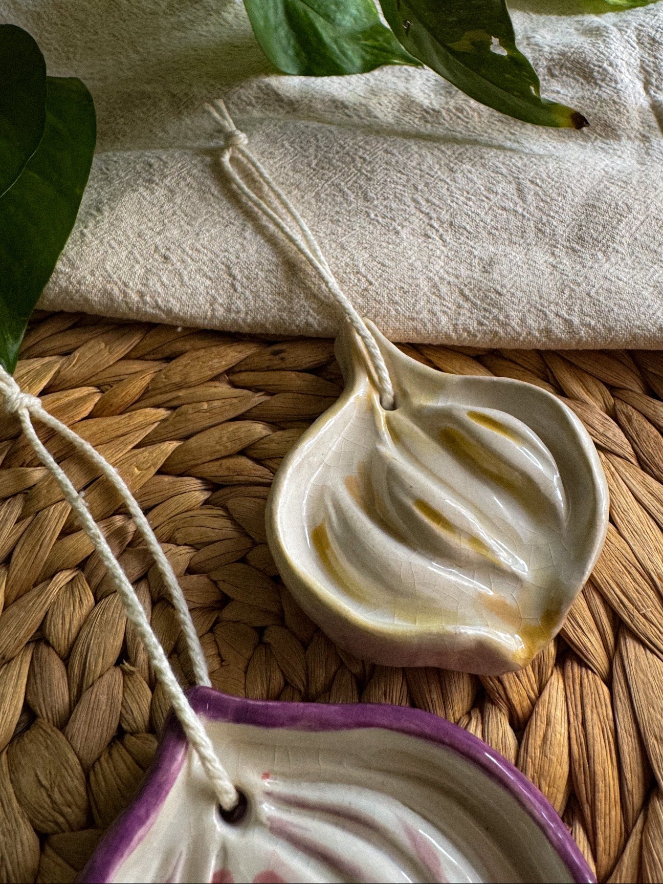 Cipolla e aglio da appendere